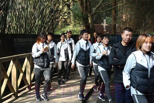 走进熊猫基地，女乙联赛休息日活动不断